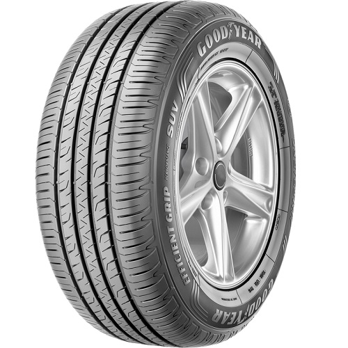 Goodyear EfficientGrip Performance SUV 225/55 R19 99 V