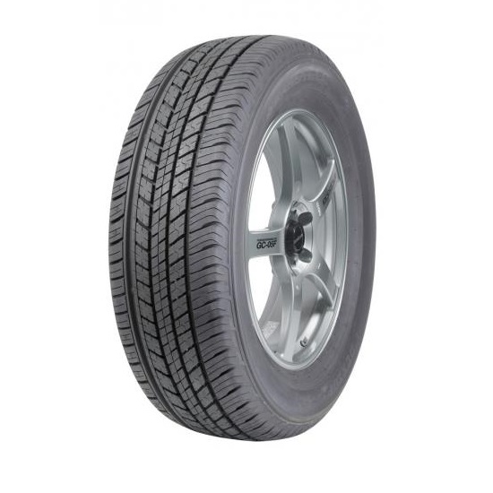 Dunlop GrandTrek ST30 225/55 R19 99 H